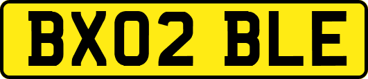 BX02BLE
