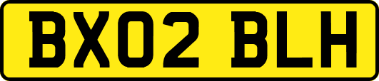 BX02BLH