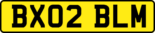 BX02BLM