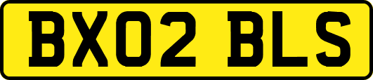 BX02BLS