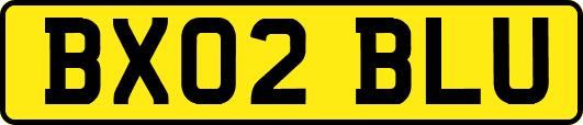 BX02BLU