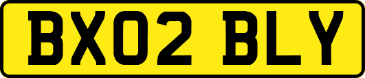 BX02BLY