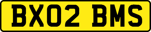 BX02BMS