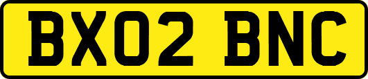 BX02BNC