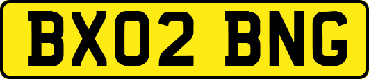 BX02BNG