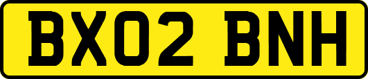 BX02BNH