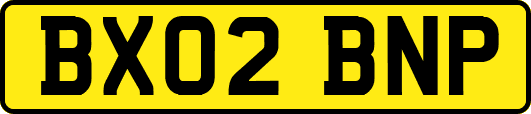 BX02BNP
