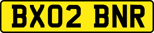 BX02BNR