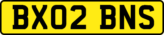 BX02BNS
