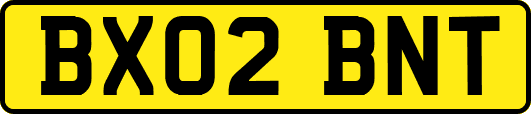 BX02BNT