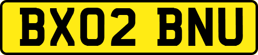 BX02BNU