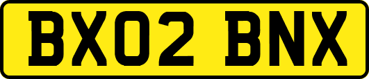 BX02BNX