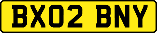BX02BNY