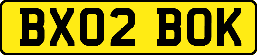 BX02BOK