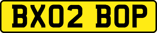 BX02BOP