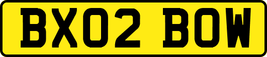 BX02BOW