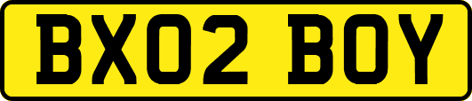 BX02BOY