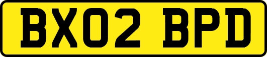 BX02BPD