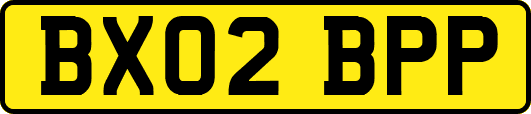BX02BPP