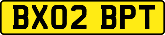 BX02BPT