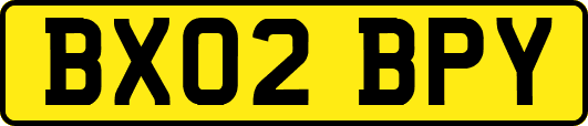 BX02BPY