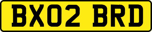 BX02BRD