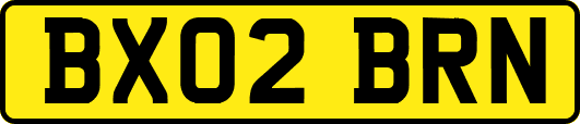 BX02BRN