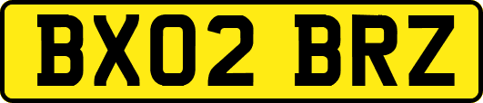 BX02BRZ