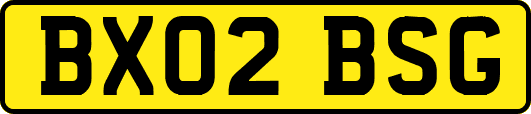 BX02BSG
