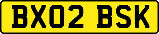 BX02BSK