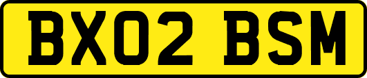 BX02BSM