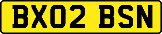 BX02BSN