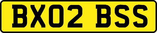 BX02BSS