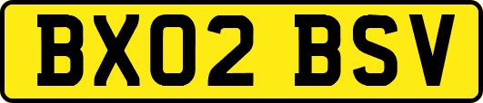 BX02BSV