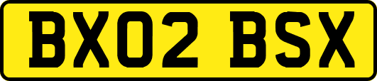 BX02BSX