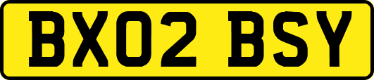 BX02BSY