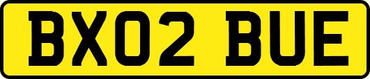 BX02BUE