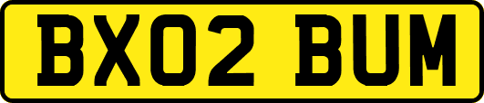 BX02BUM