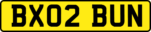 BX02BUN