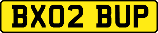 BX02BUP