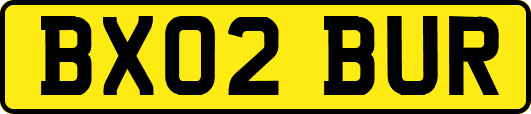 BX02BUR