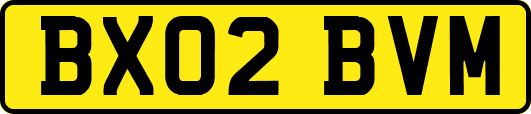 BX02BVM