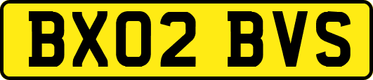 BX02BVS