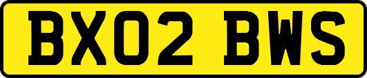 BX02BWS