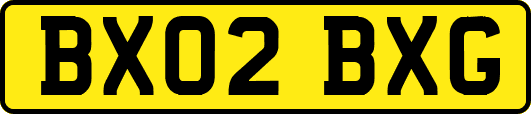BX02BXG