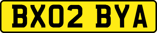BX02BYA