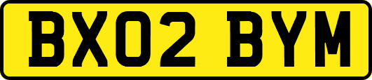 BX02BYM