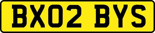 BX02BYS