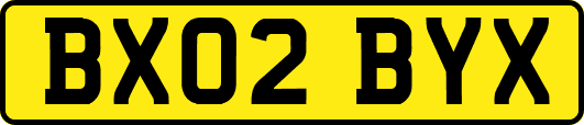 BX02BYX