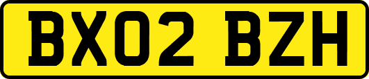 BX02BZH